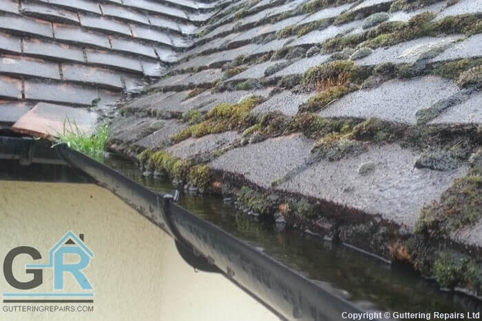 Roof rain gutter repair and cleaning in Weybridge.